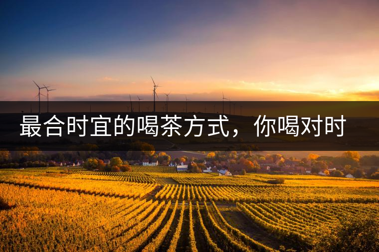 最合時宜的喝茶方式，你喝對時間了嗎？