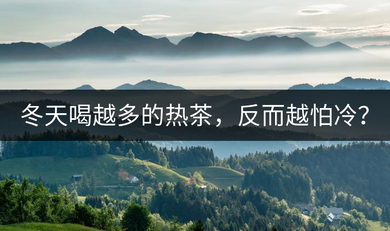 冬天喝越多的熱茶，反而越怕冷？