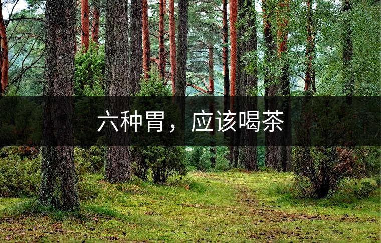六種胃,應(yīng)該喝茶 六種胃,應(yīng)該喝茶