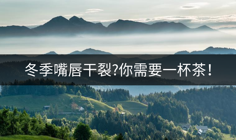 冬季嘴唇干裂?你需要一杯茶！