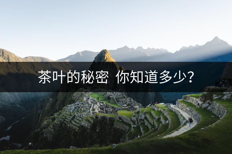 茶葉的秘密  你知道多少？