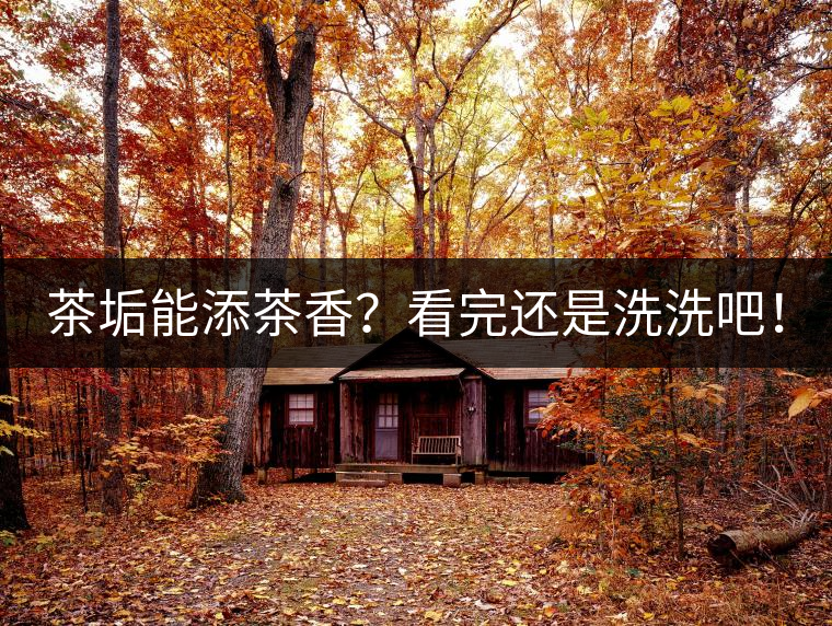 茶垢能添茶香？看完還是洗洗吧！