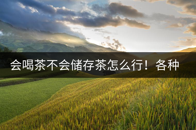 會喝茶不會儲存茶怎么行！各種存茶方法與技巧，把茶香留住