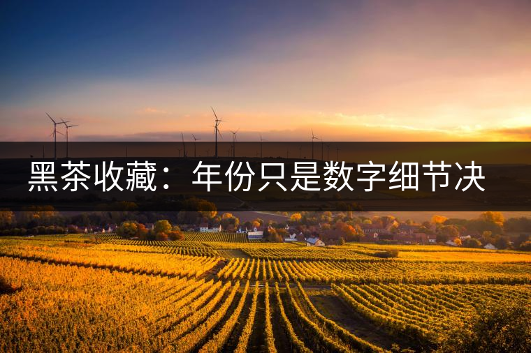 黑茶收藏：年份只是數(shù)字細節(jié)決定價值