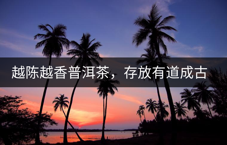 越陳越香普洱茶，存放有道成古董