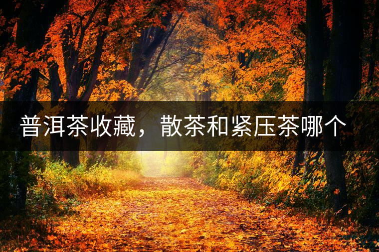 普洱茶收藏，散茶和緊壓茶哪個(gè)更好？