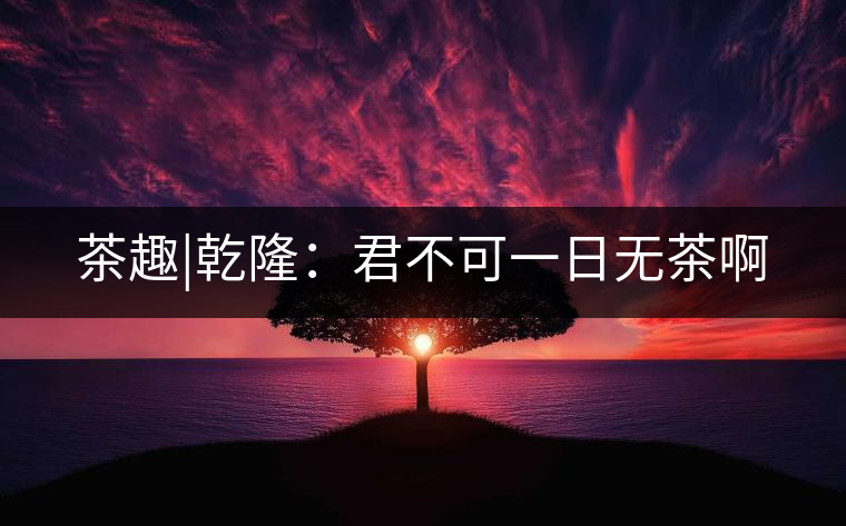 茶趣|乾?。壕豢梢蝗諢o(wú)茶啊