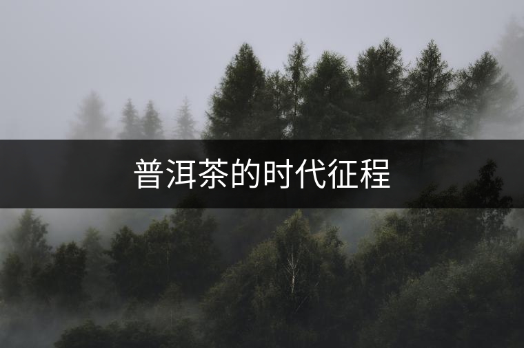 普洱茶的時(shí)代征程 普洱茶的時(shí)代征程