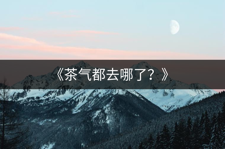 《茶氣都去哪了？》