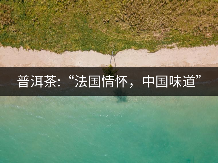 普洱茶:“法國情懷，中國味道”