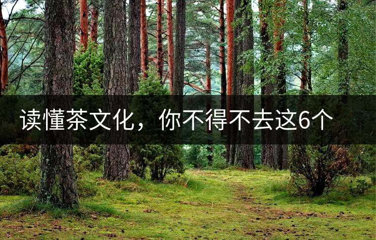 讀懂茶文化，你不得不去這6個(gè)城市
