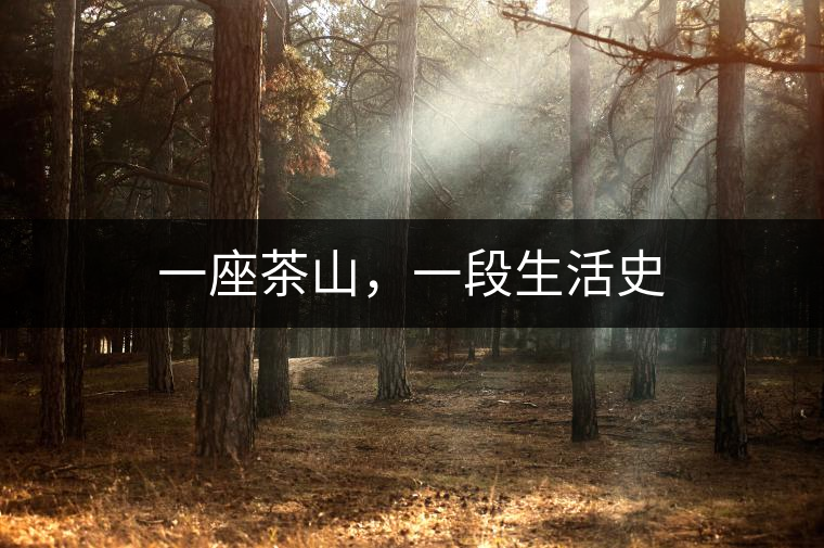 一座茶山，一段生活史