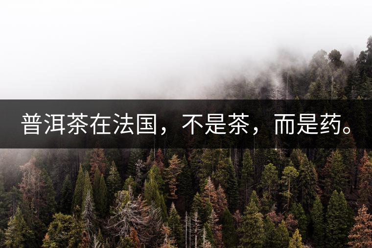 普洱茶在法國(guó)，不是茶，而是藥。