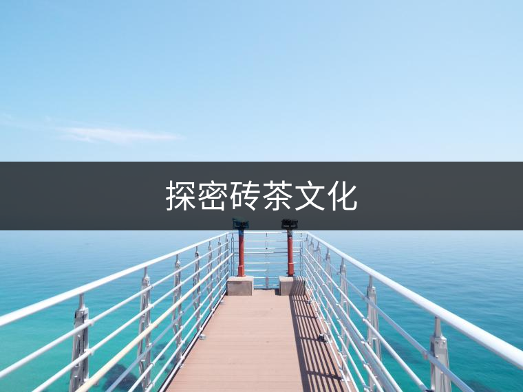 探密磚茶文化 探密磚茶文化