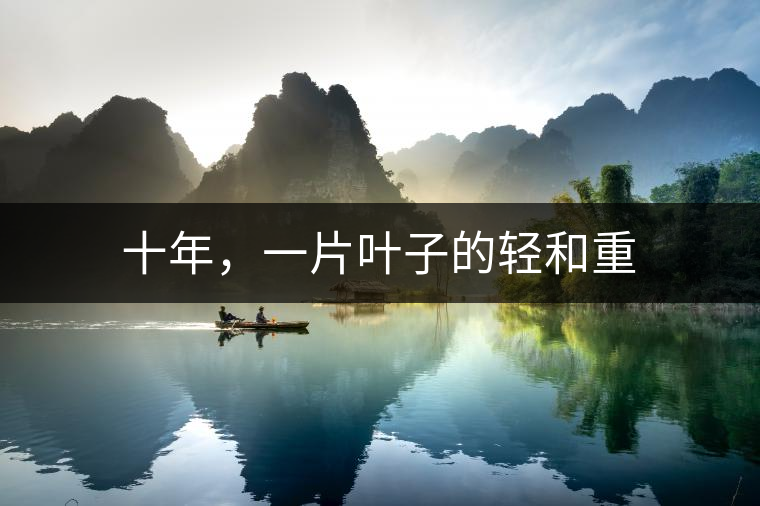 十年，一片葉子的輕和重