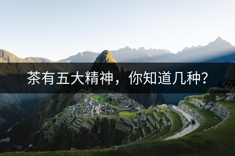 茶有五大精神，你知道幾種？