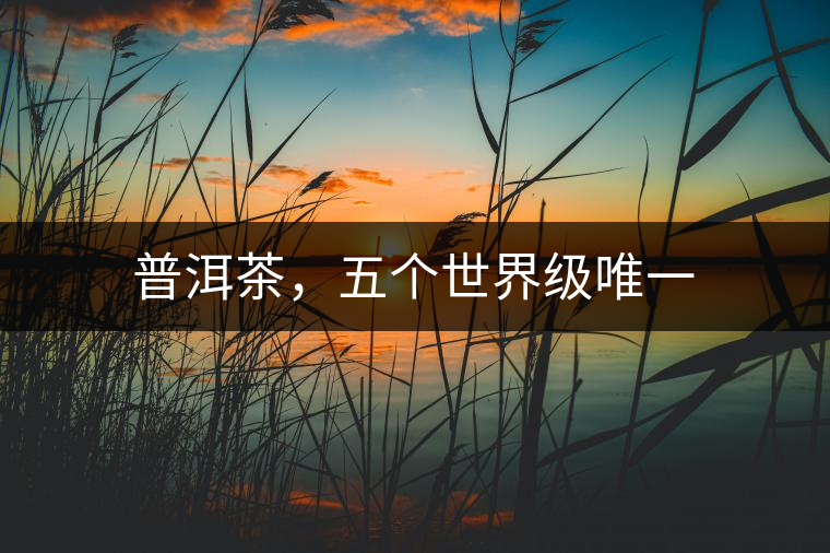 普洱茶，五個世界級唯一