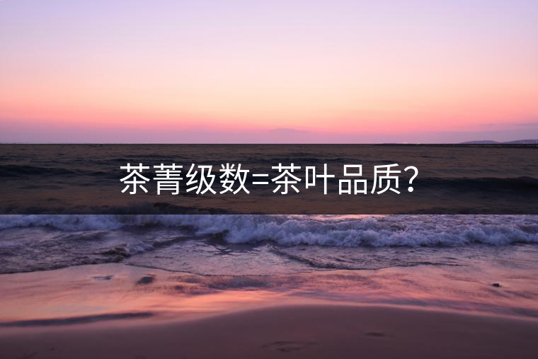 茶菁級數(shù)=茶葉品質(zhì)？