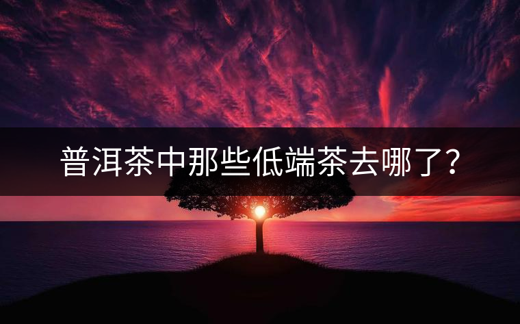 普洱茶中那些低端茶去哪了？