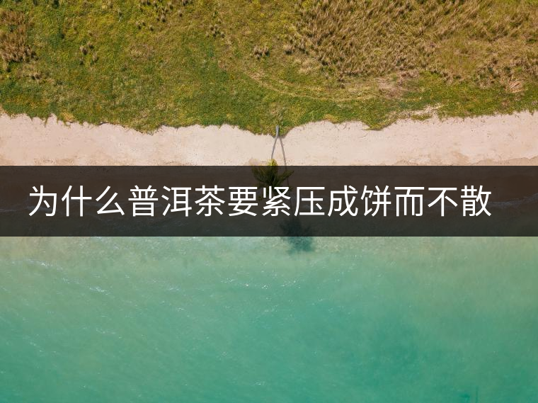 為什么普洱茶要緊壓成餅而不散存呢？