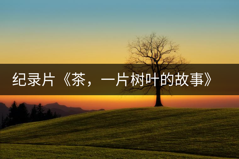 紀錄片《茶，一片樹葉的故事》 茶文化的詩意追尋