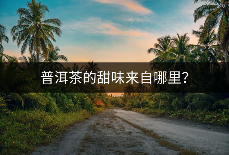 普洱茶的甜味來(lái)自哪里？
