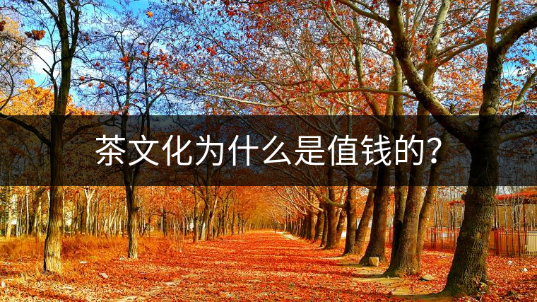 茶文化為什么是值錢的？