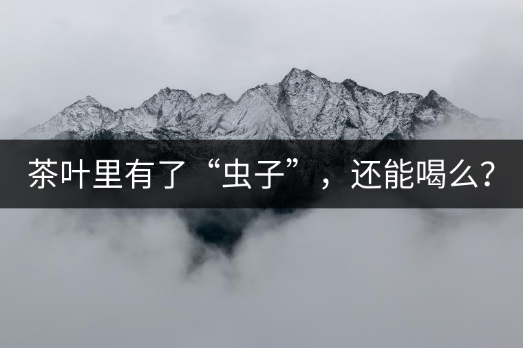 茶葉里有了“蟲子”，還能喝么？