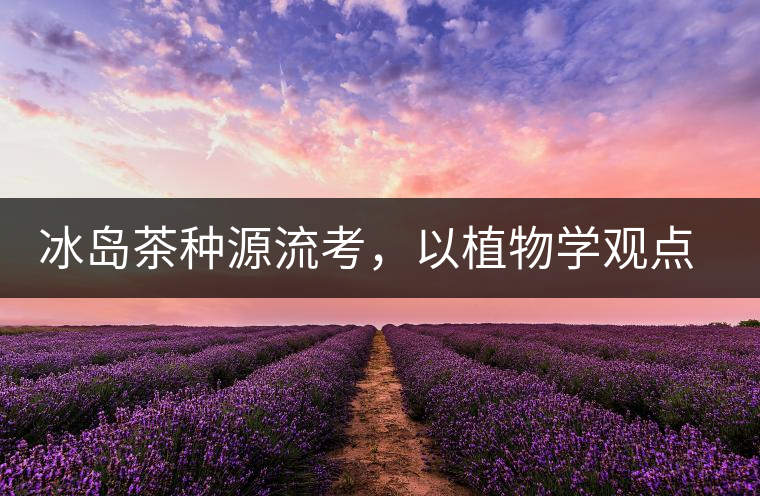 冰島茶種源流考，以植物學(xué)觀點(diǎn)解讀冰島茶