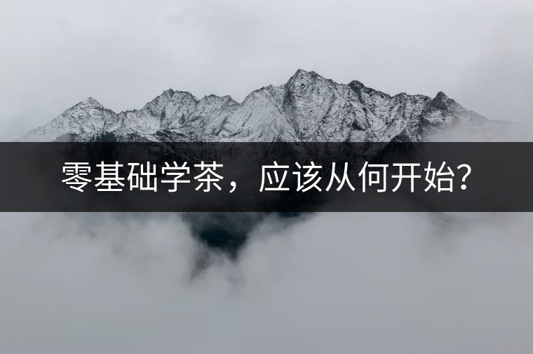 零基礎(chǔ)學(xué)茶，應(yīng)該從何開(kāi)始？