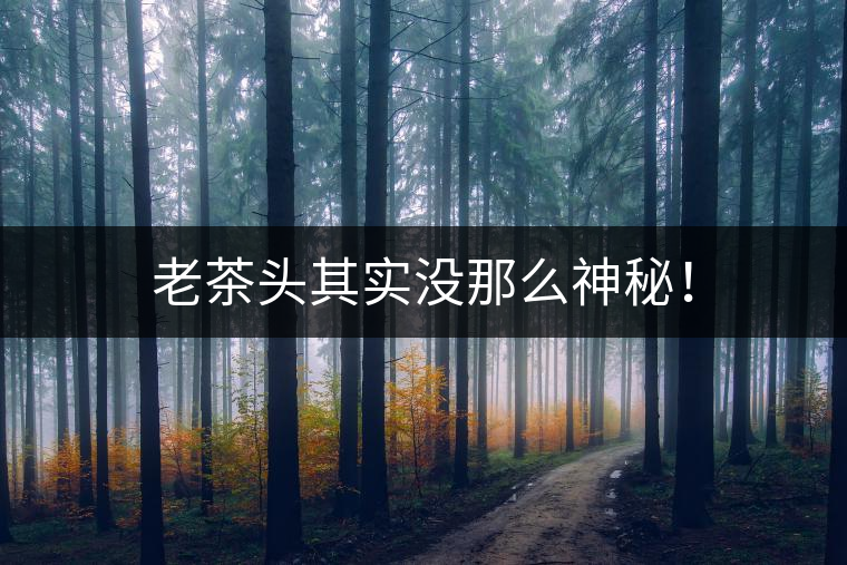 老茶頭其實沒那么神秘！