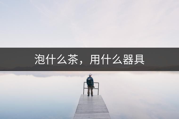 泡什么茶，用什么器具