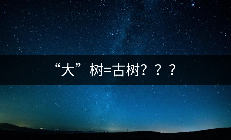 “大”樹=古樹？？？
