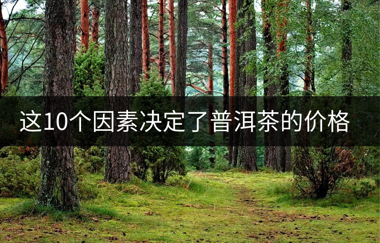 這10個因素決定了普洱茶的價格？