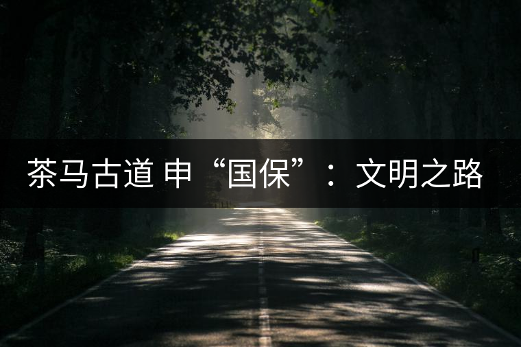 茶馬古道 申“國?！保何拿髦返脑侔l(fā)現(xiàn)