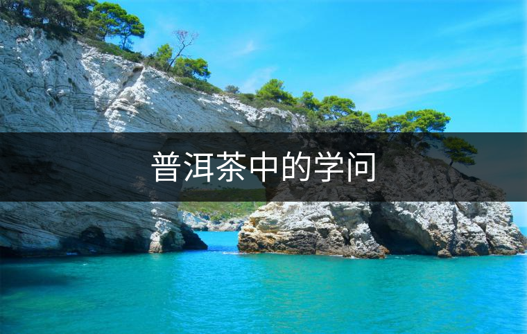 普洱茶中的學(xué)問 普洱茶中的學(xué)問