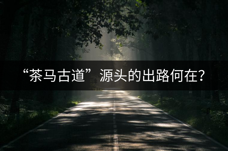 “茶馬古道”源頭的出路何在？