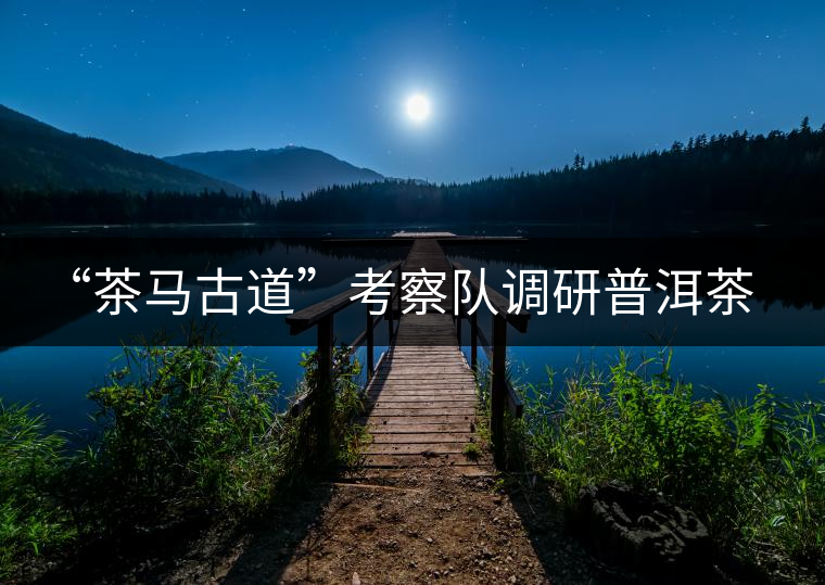 “茶馬古道”考察隊(duì)調(diào)研普洱茶文化