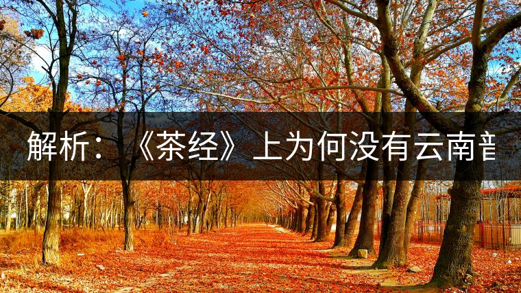 解析：《茶經(jīng)》上為何沒(méi)有云南普洱茶 ？