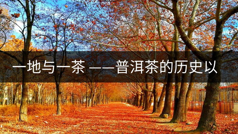 一地與一茶 ——普洱茶的歷史以及現場
