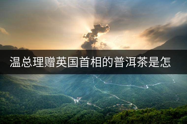 溫總理贈(zèng)英國(guó)首相的普洱茶是怎么制作的？