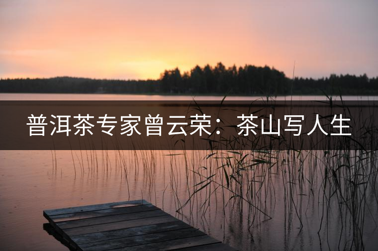 普洱茶專家曾云榮：茶山寫(xiě)人生