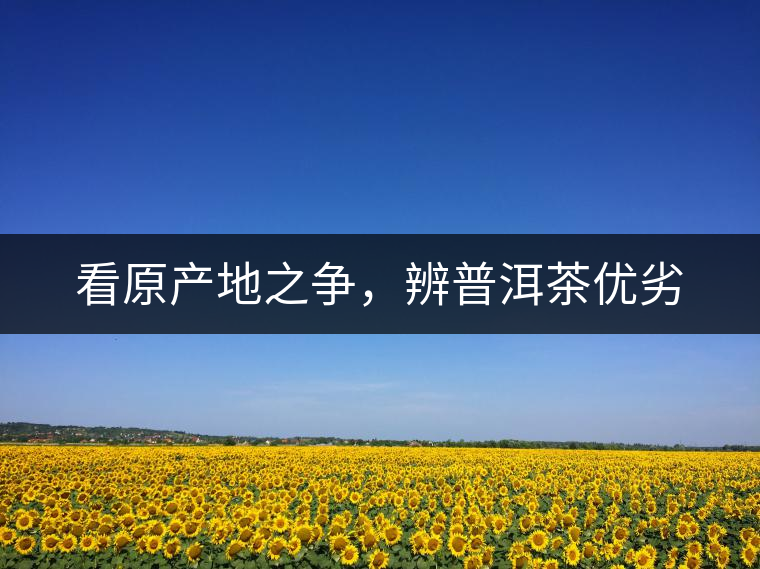 看原產(chǎn)地之爭，辨普洱茶優(yōu)劣