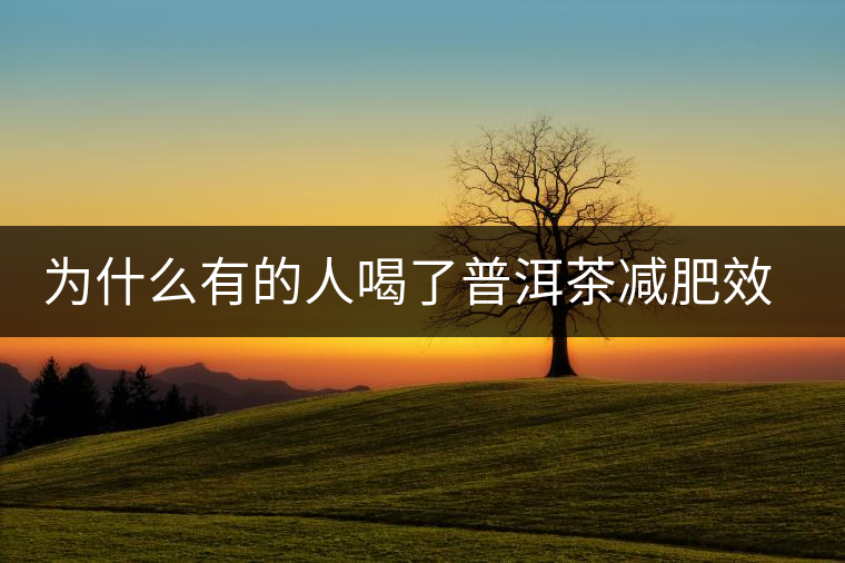 為什么有的人喝了普洱茶減肥效果不明顯呢？