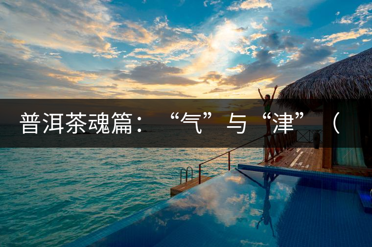 普洱茶魂篇：“氣”與“津”（談普洱茶數(shù)字化評價(jià)體系二）