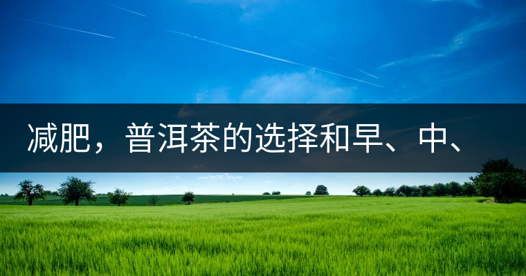 減肥，普洱茶的選擇和早、中、晚的喝法