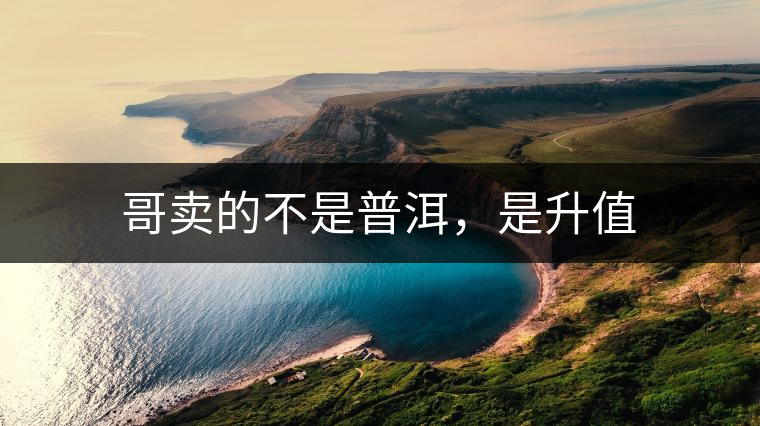 哥賣的不是普洱，是升值