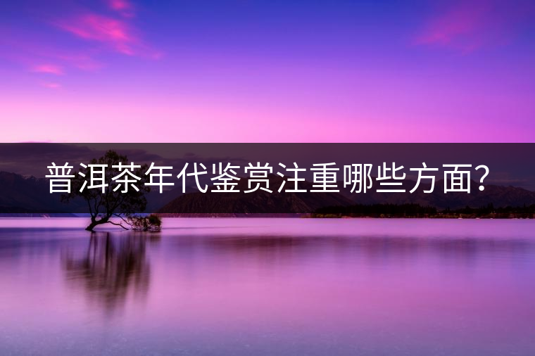 普洱茶年代鑒賞注重哪些方面？