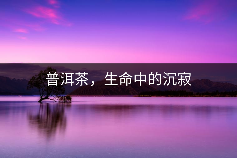 普洱茶，生命中的沉寂