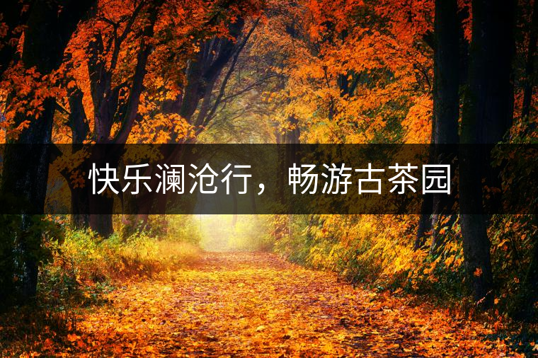 快樂瀾滄行，暢游古茶園